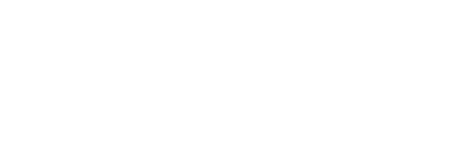 The Expert Impact logo